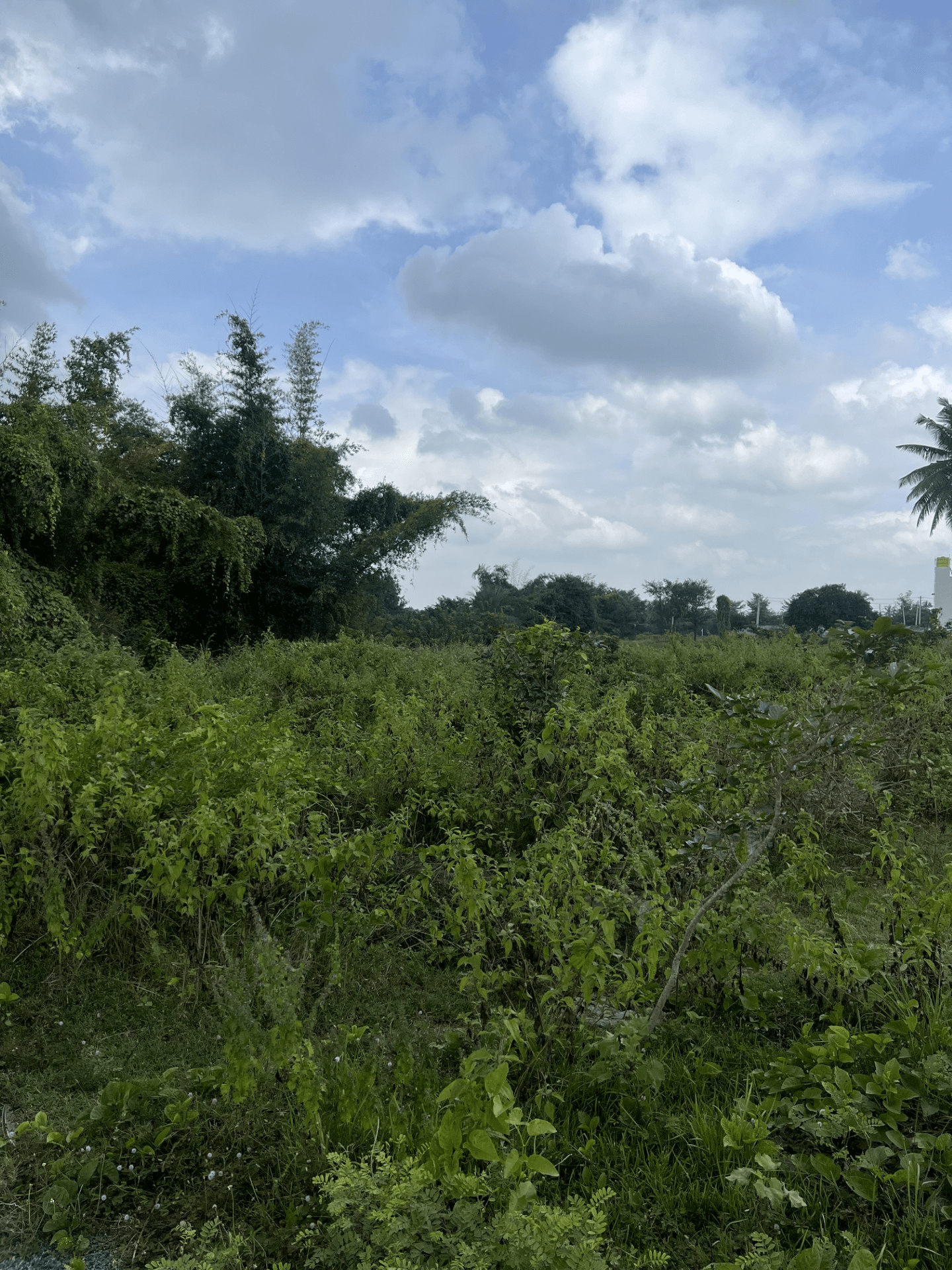 Land available in Ramohalli 