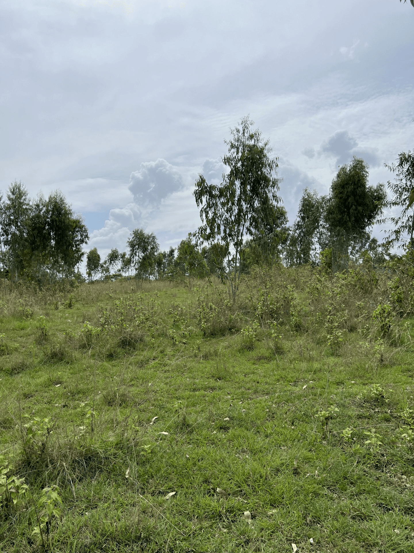 Land available in Chikkatirupathi